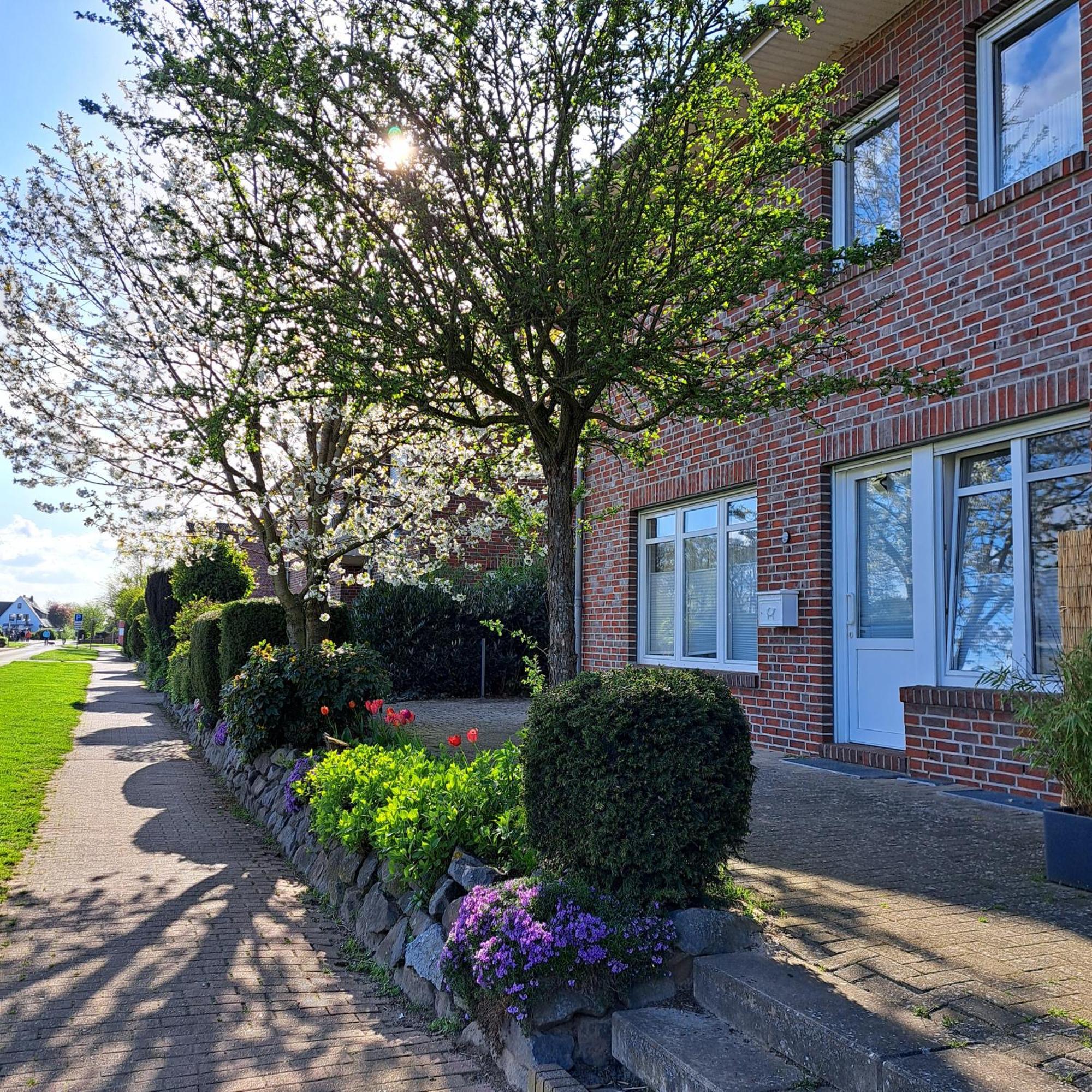 Seeliebe, 300 Meter Zum Wasser, Mit Terrasse Und Garten Lembruch Exterior photo
